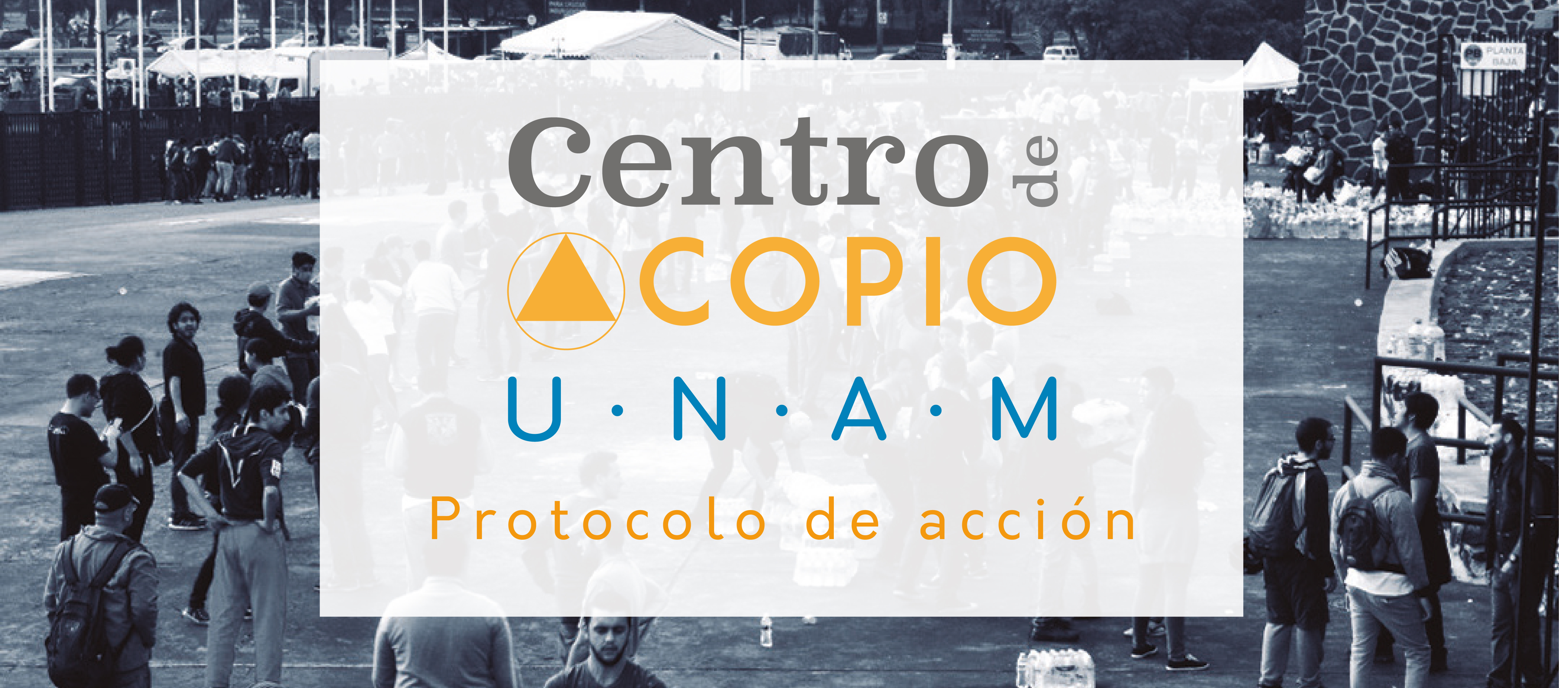 UNAM Solidaria